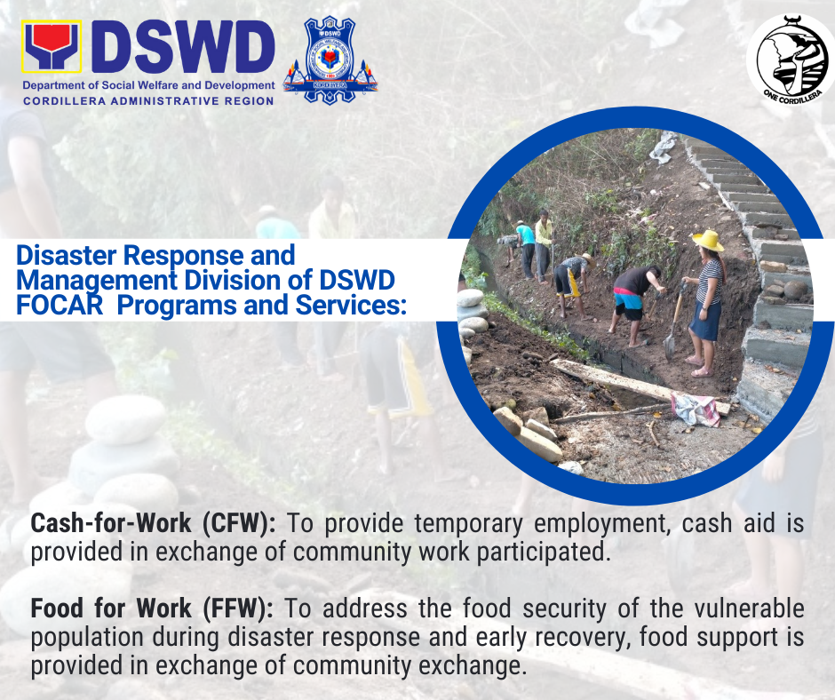 Disaster Response And Management Division Drmd Dswd Field Office